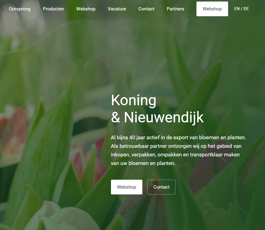 Website KNFlowers